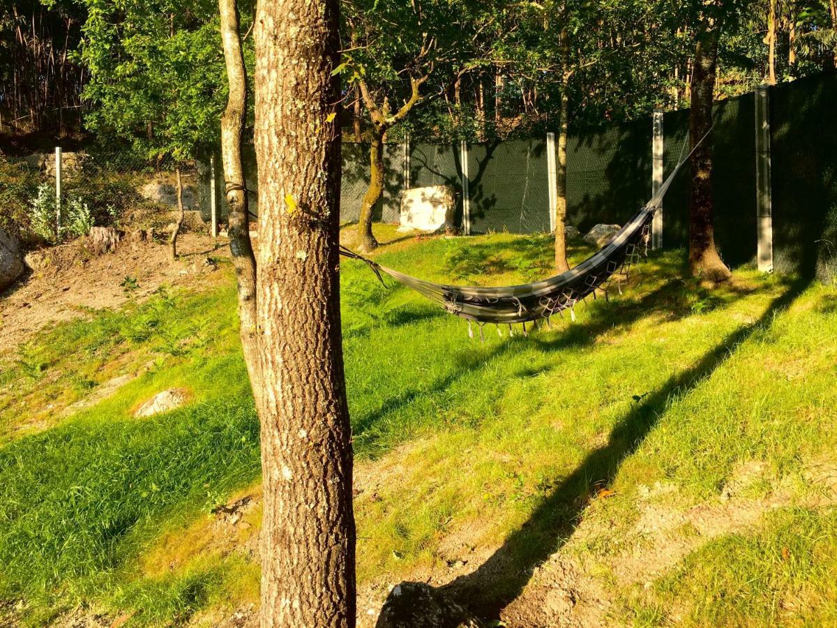 The Green Roof House 维埃拉·多米尼奥 外观 照片